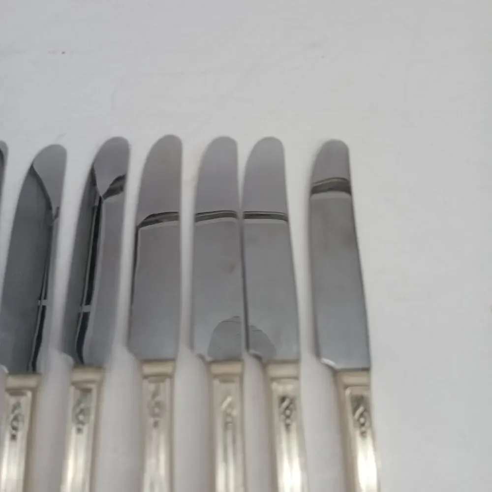 8+1X BK Vtg Manor Plate Triple Rose Rosedale Butter Knives Silverplate